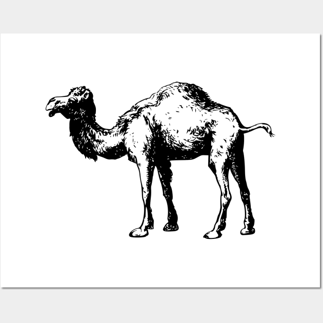 Camel Wall Art by linesdesigns